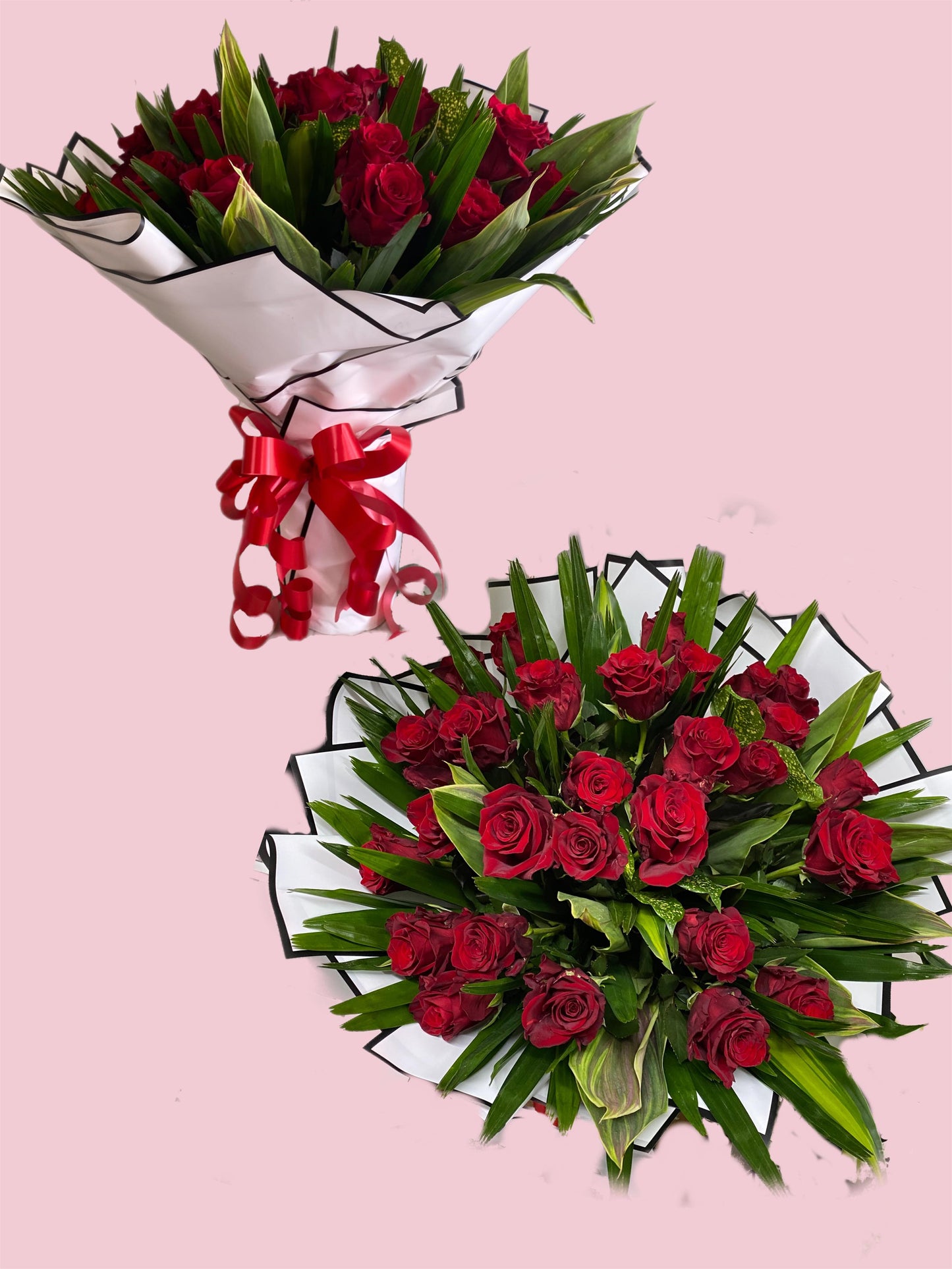 Tropical Roses