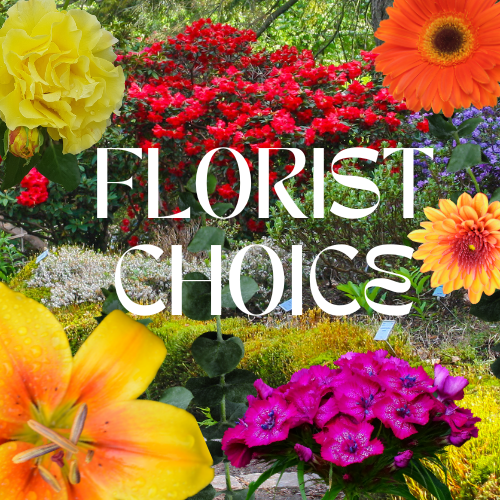 Bright FLORIST CHOICE