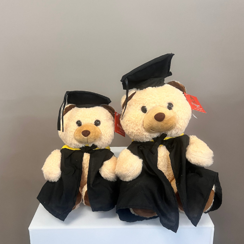 Graduation Bear