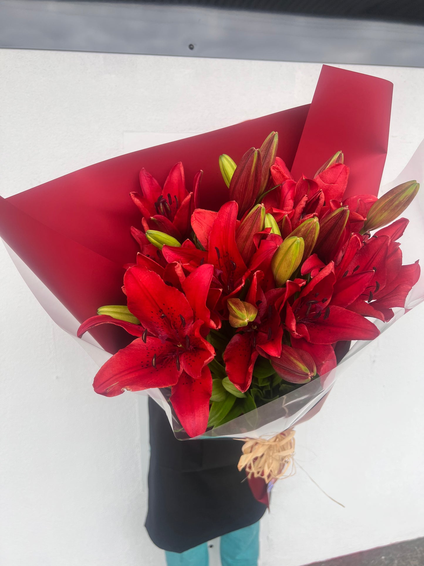 Asiatic Lilies