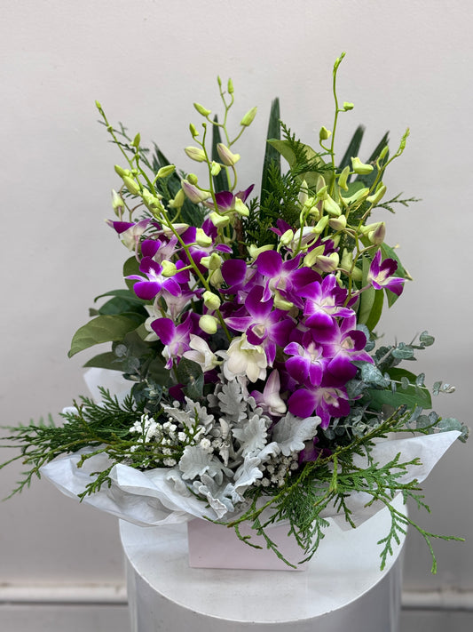 FRESH AS ORCHID BOX