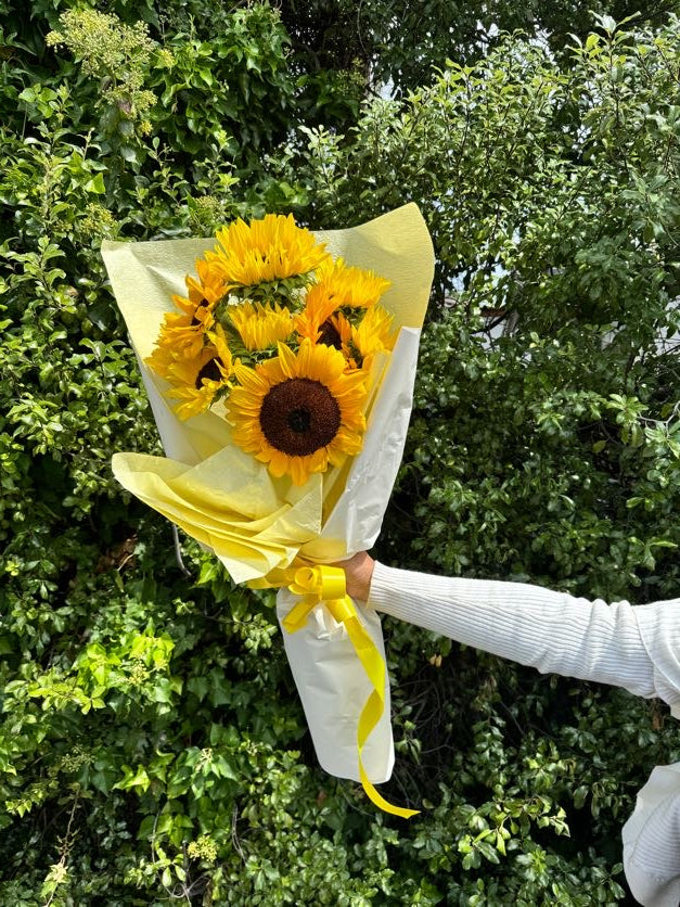 Sunflowers