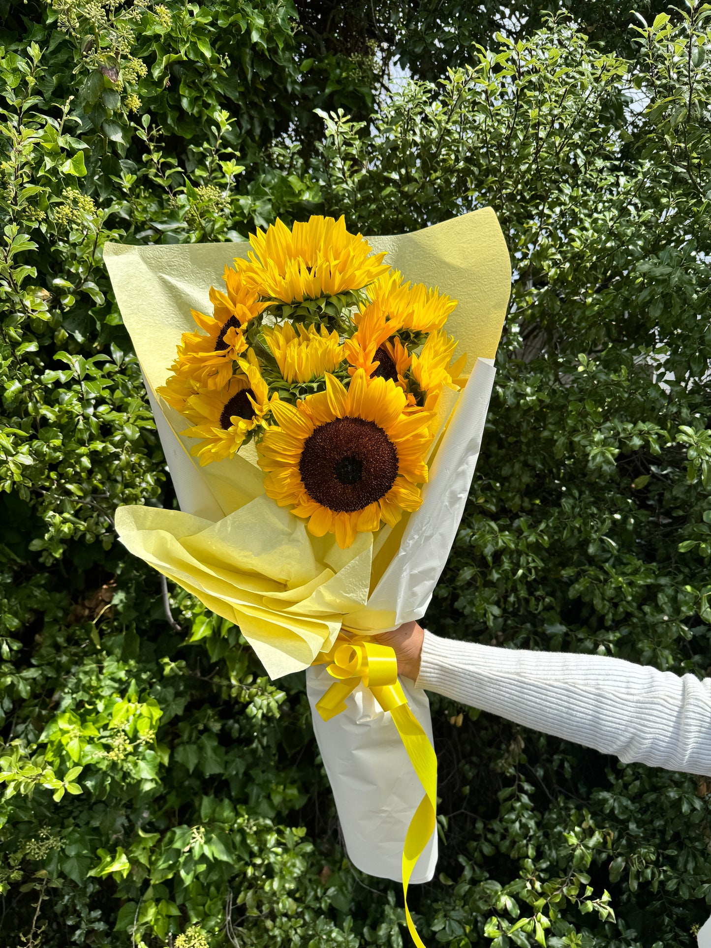 Sunflowers