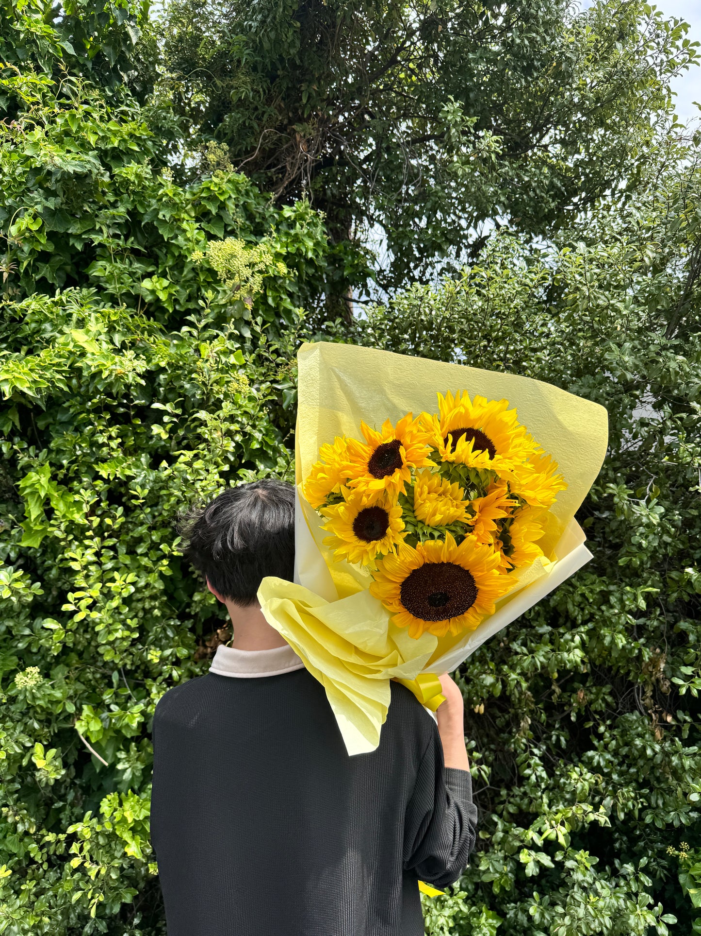 Sunflowers